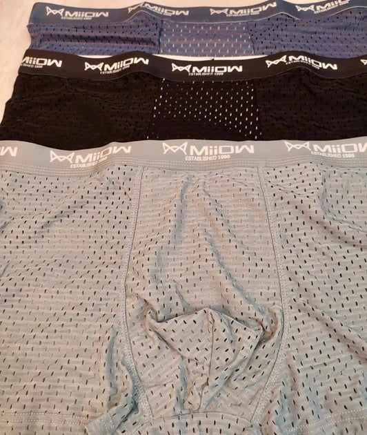 (𝐈𝐦𝐩𝐨𝐫𝐭𝐞𝐝) Milow (Set of 9) Underwears (Graphene Antibacterial Ice Silk)