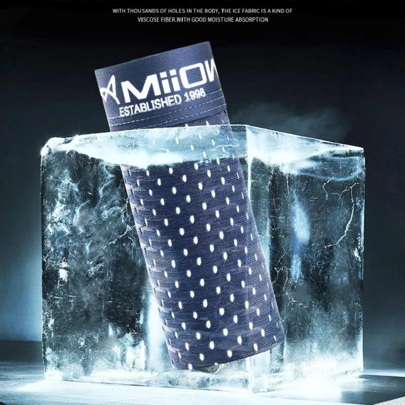 (𝐈𝐦𝐩𝐨𝐫𝐭𝐞𝐝) Milow (Set of 9) Underwears (Graphene Antibacterial Ice Silk)