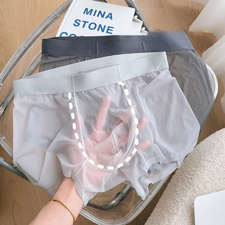 Mens Nude Ice Silk Antibacterial Boxer - Packs Of 6